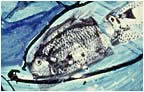 Diez Pescados