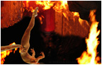 fire bat II