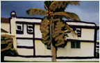 surf club