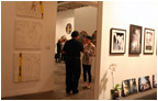 Elias Studio