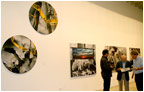 Elias Studio